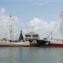 Port of Palacios