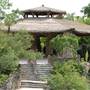Japanese Tea Garden at Brackenridge Park
