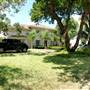 Palm Boulevard Neighborhood