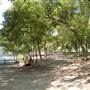Trinity Park