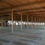 McKinney Cotton Mill