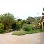 Fiesta Gardens