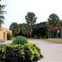 Fiesta Gardens