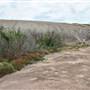 Enchanted Rock State Natural Area