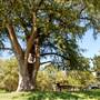 Bandera City Park