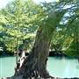 Bandera City Park