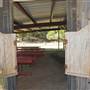 Flying L Guest Ranch