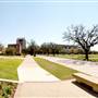 Texas A&M University