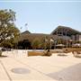 Texas A&M University