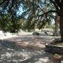 San Pedro Springs Park