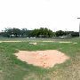 Sonny Gold Ball Park