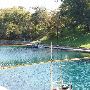 Barton Springs Pool