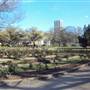 Houston Garden Center