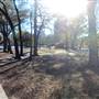 Hermann Park