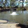 Japanese Garden in Hermann Park