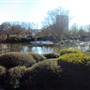 Japanese Garden in Hermann Park