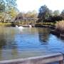 Japanese Garden in Hermann Park
