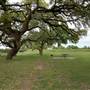 Beason's Park on the Colorado