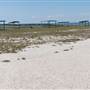 Matagorda Island