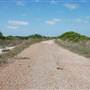 Matagorda Island