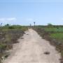 Matagorda Island