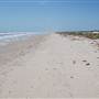 Matagorda Island