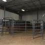 Mesquite Pro Rodeo