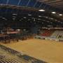 Mesquite Pro Rodeo