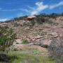 The Sandy Ranch