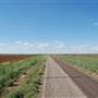 FM 3112 South of US 380