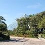 Moody Gardens