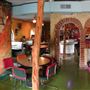 Polvo's