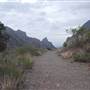 Big Bend National Park - Window Trail