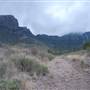 Big Bend National Park - Window Trail