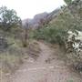 Big Bend National Park - Lost Mine Trail