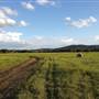 Onion Creek Ranch