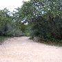 Covert Park at Mt. Bonnell