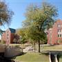 Baylor University