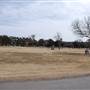 Lubbock Cemetery