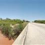 Brazos River at W. Lincoln St.