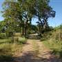Man Homestead