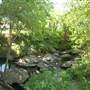 Oliver Nature Park