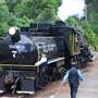 Texas State Railroad - 1901 Steam Train