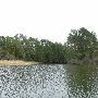 Lake Bastrop