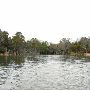 Lake Bastrop