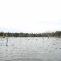 Lake Bastrop