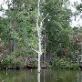 Lake Bastrop