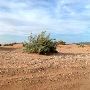 Red Sands