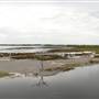 South Padre Island Birding and Nature Center & Alligator Sanctuary
