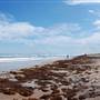 Boca Chica Beach & Dunes